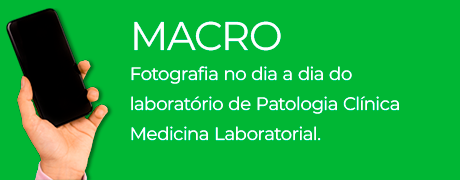 Categoria Macro